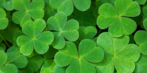 What’s Happening at WES // March 2023