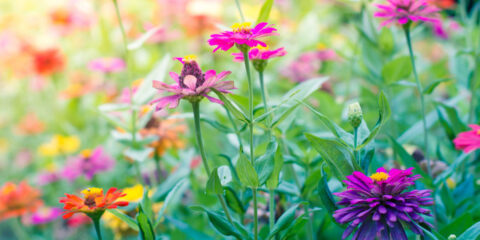 What’s Happening at WES: April 2023